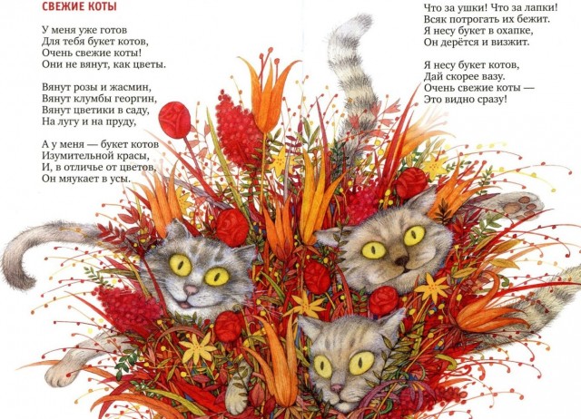 Урожай котиков