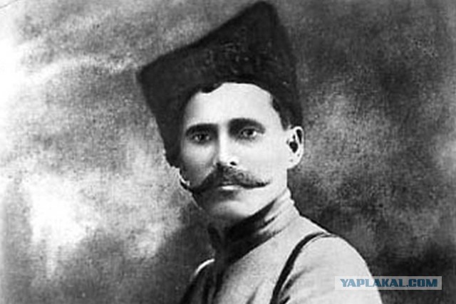 Дадим котику имя, коллеги?