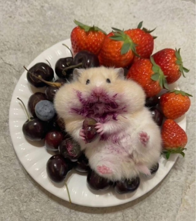 Коммуна