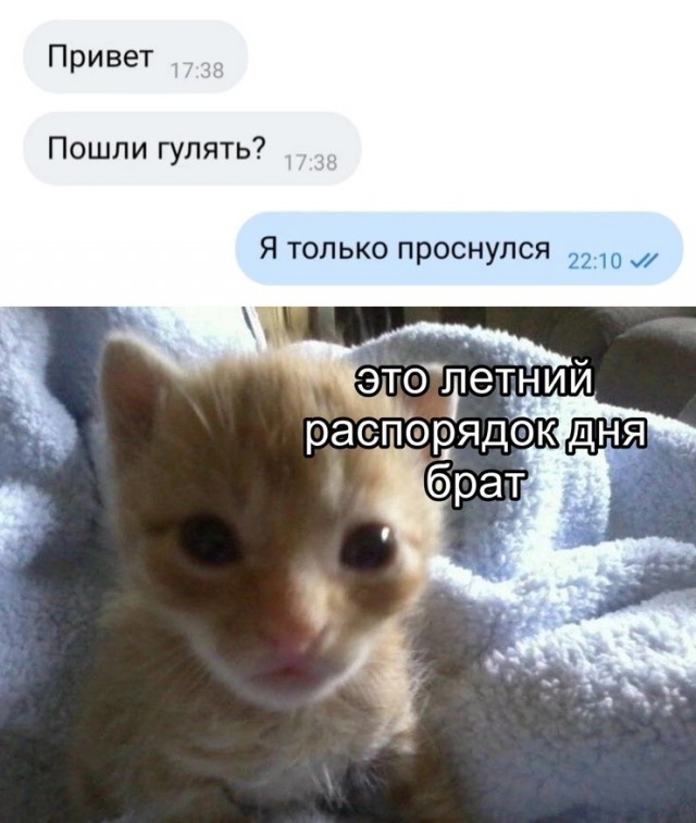 Так себе картинки 01.09.26