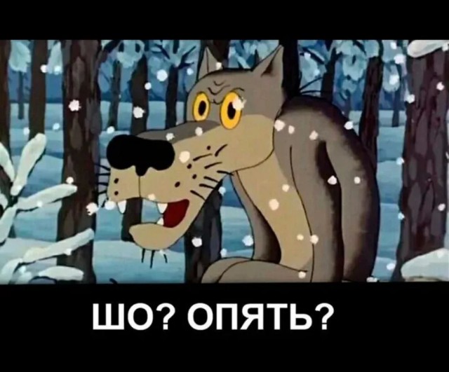 Шипы или липучка?