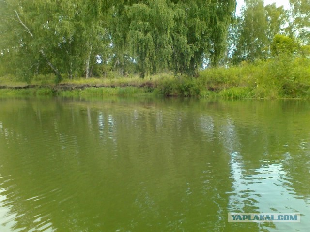 Природа Урала