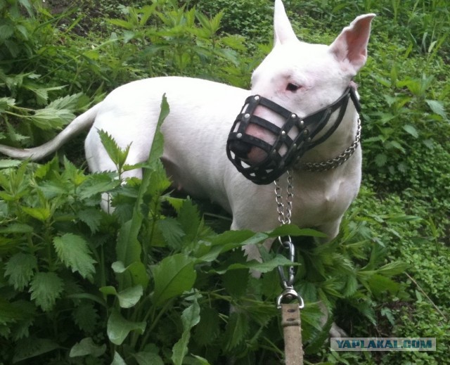 Когда на твоих глазах убивают друга...