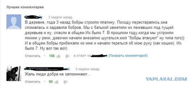 Смешные комментарии из социальных сетей #2