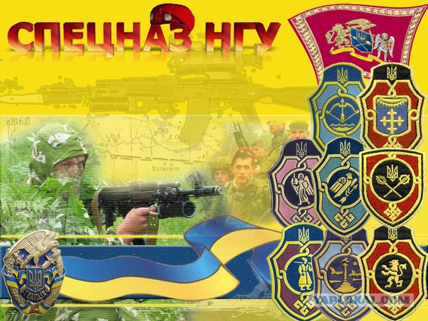 Национальная Гвардия. Настоящая.