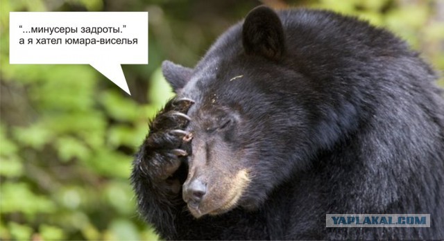 Новый мидвет!