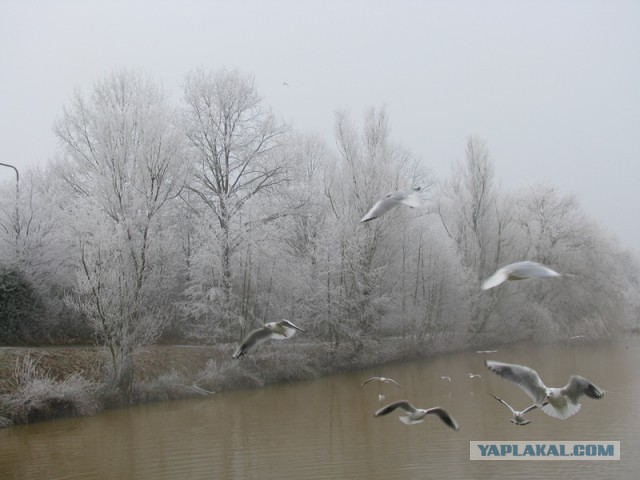 15 любительских фотографий