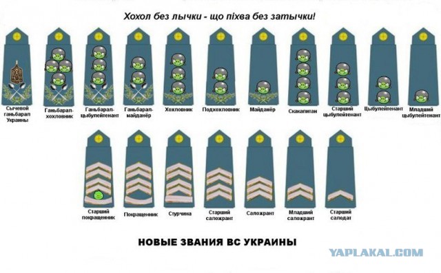 Новороссия, не забыли шампанское?