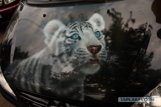 Прикольная  аэрография