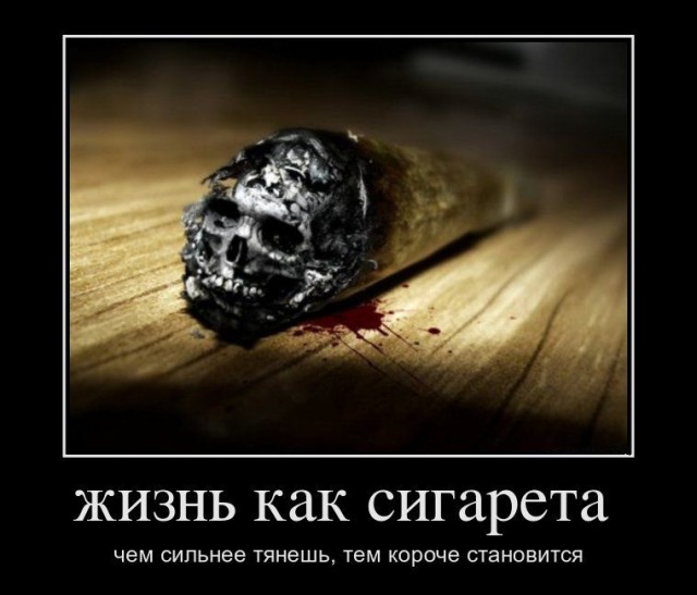 Позитивная подборка демотиваторов