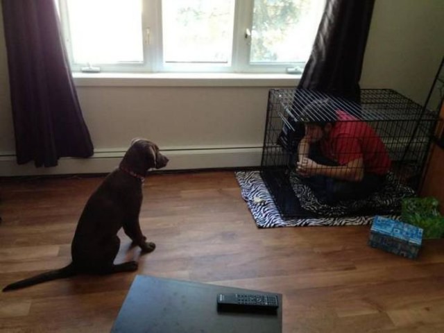 Подборка интересных и веселых фото