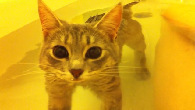 Очередная подборка фоток