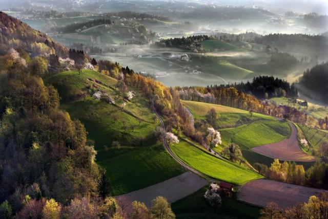 Подборка интересных и веселых фото