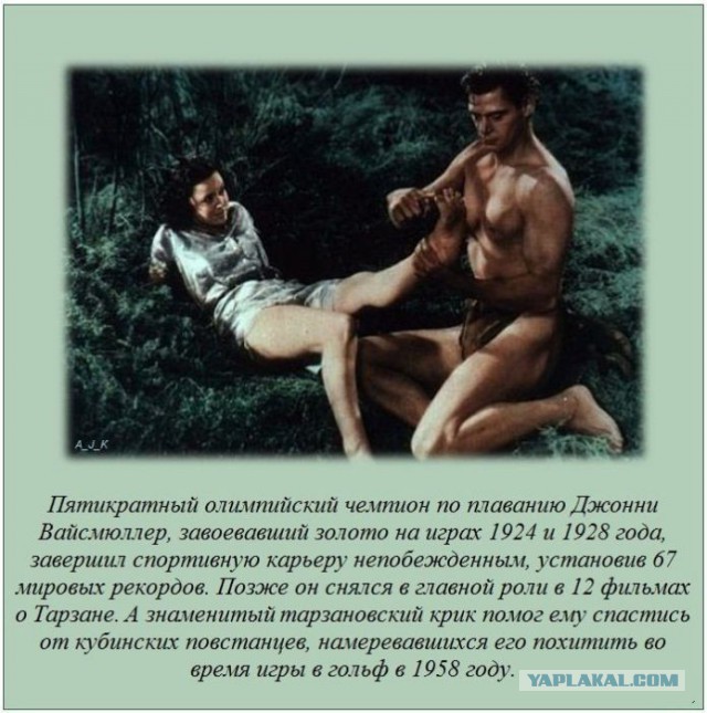 Обо всем на свете!