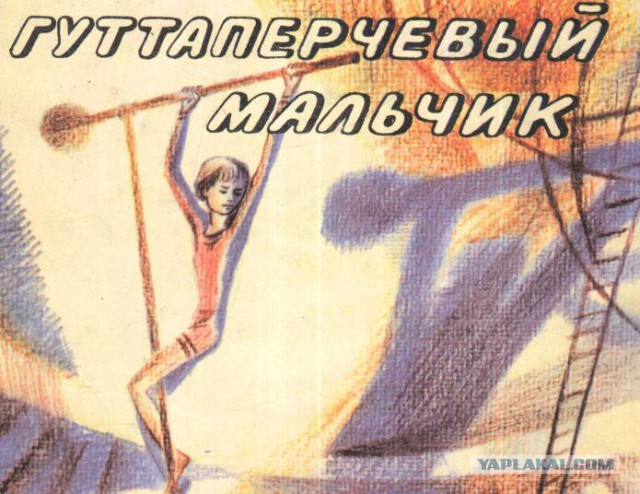Трагедии на цирковой арене