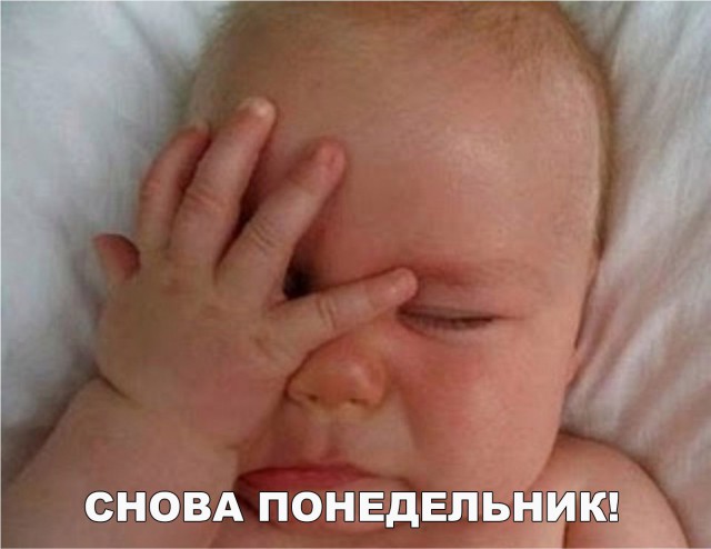 Подборка интересных и веселых фото