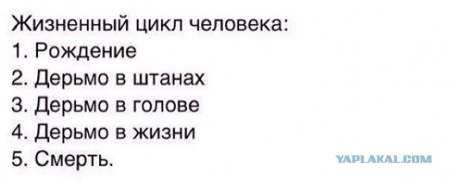 Субботняя порция перлов, высказываний, котоламповых историй