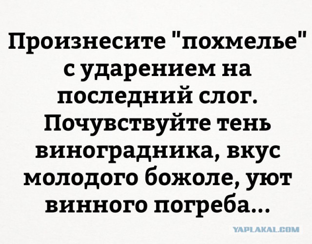 Картинки смешные из интернетов