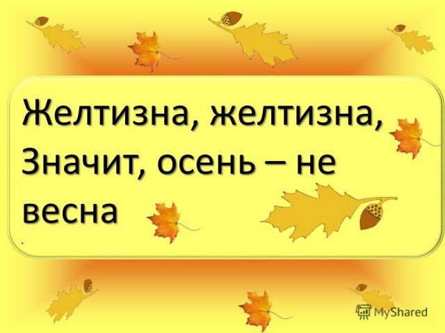 Футбол. Чемпионат России 2017-2018 часть 5