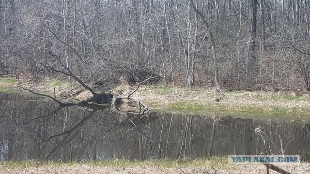 Просто Природа