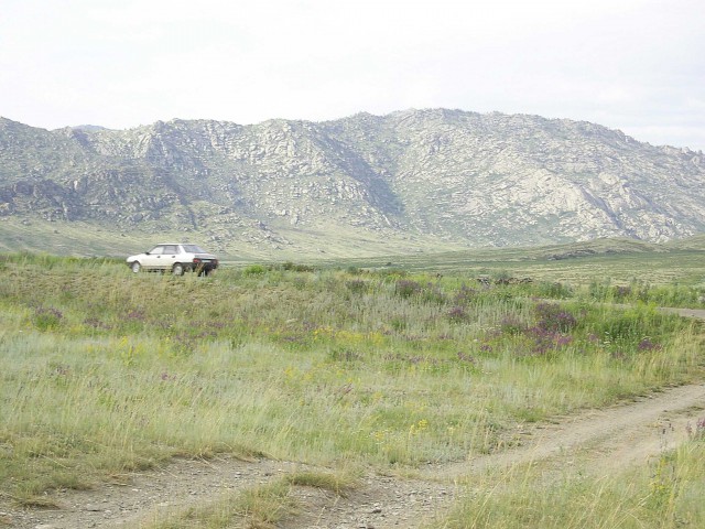 Найдено богатейшее захоронение скифов-саков в Казахстане