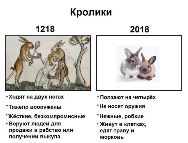 Немного картинок в эту среду
