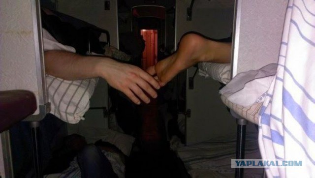 РЖД показали, как будут выглядеть новые плацкартные вагоны