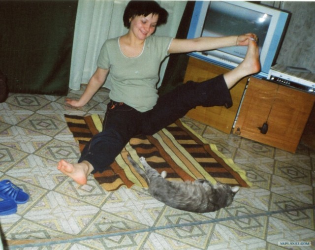Котовторник 24.04.2012