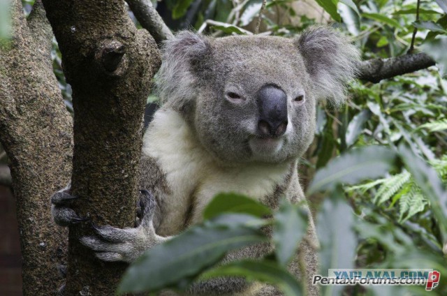 КАМАЗ пятого поколения: первая машина покинула конвейер