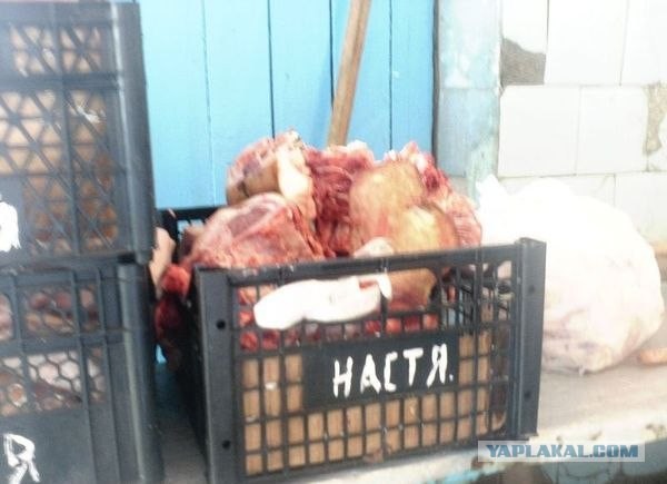 Бедная Настя