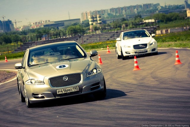 Бойцовский Клуб Jaguar