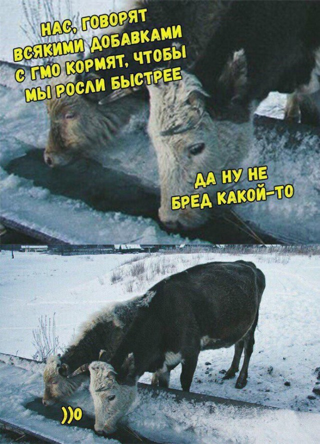 Пятница в черном-черном городе...
