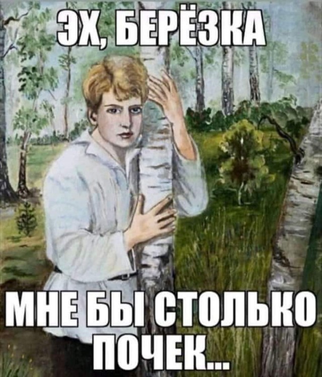 Немного картинок для настроения 10.12.19