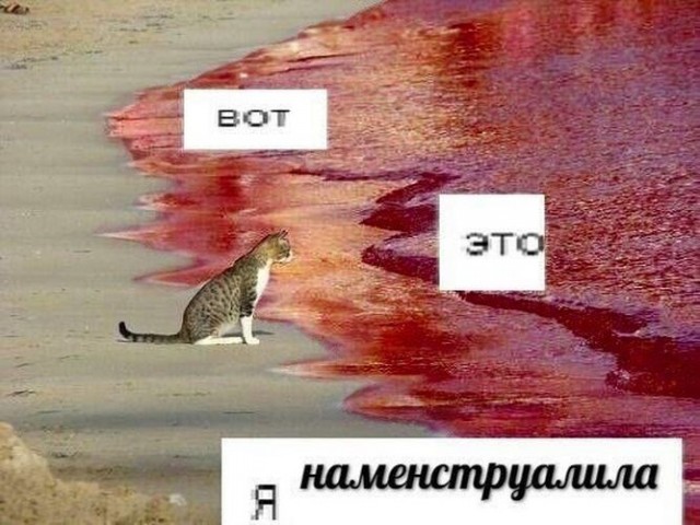 Чавкнула бездна