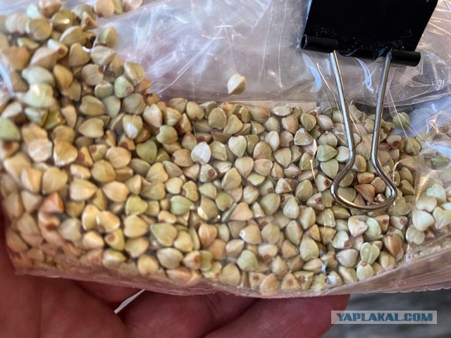 Зелёная гречка.Хлеб и каша. Безглютен.