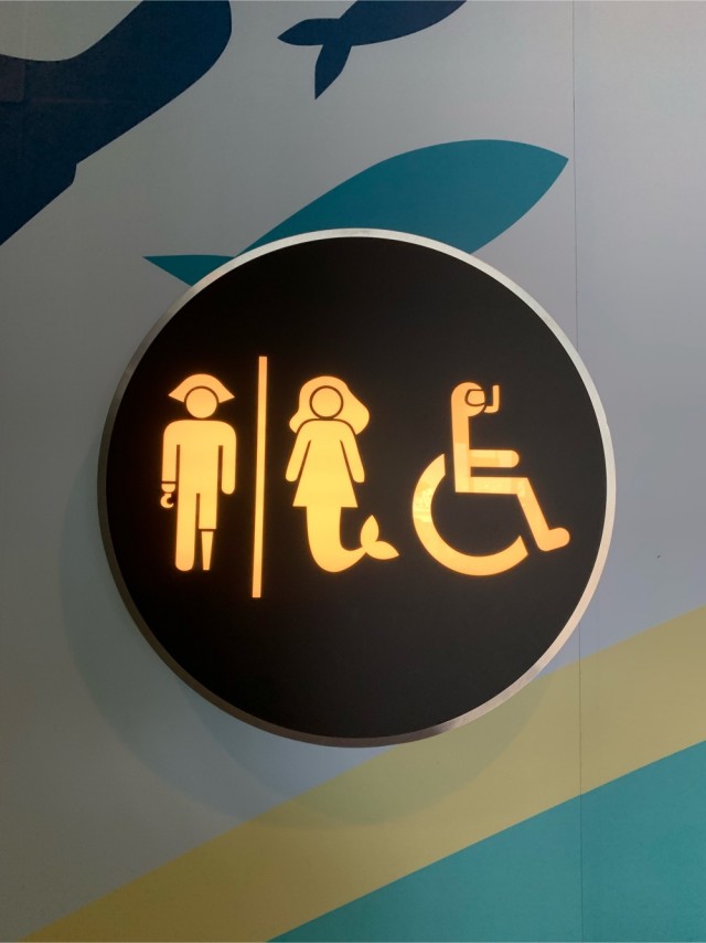 Туалеты мира