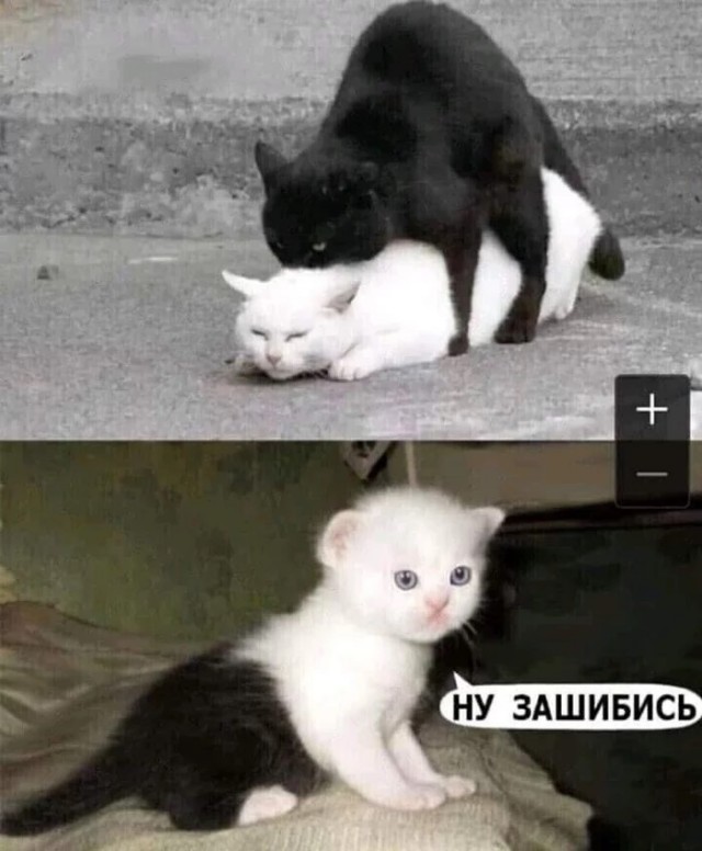Боянистые картинки 07.12.20