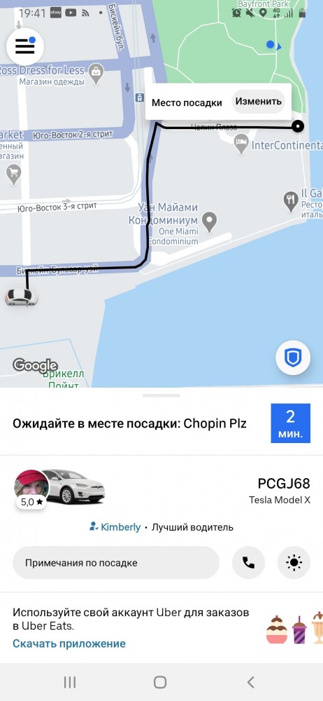 "Панегирик" Тесле
