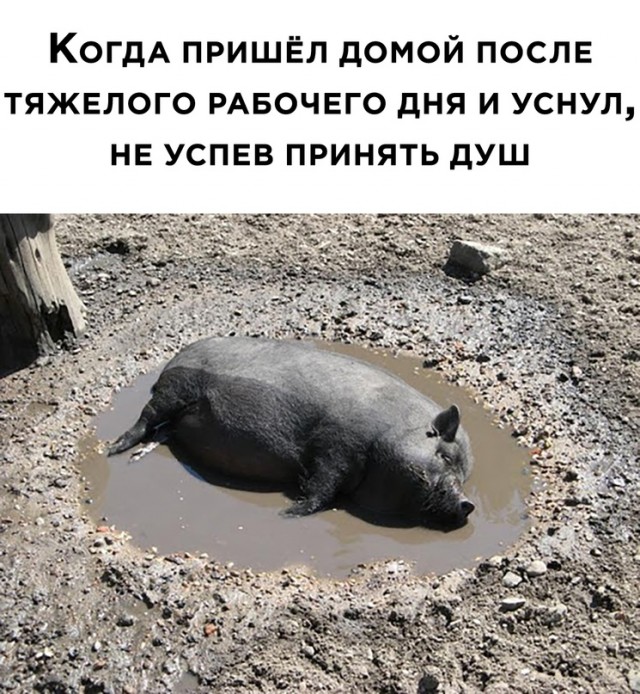 Весёлый полтишок 2.05