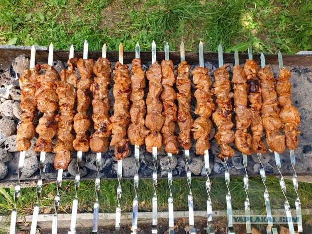 Шашлык, рецепты маринада, все про шашлык!