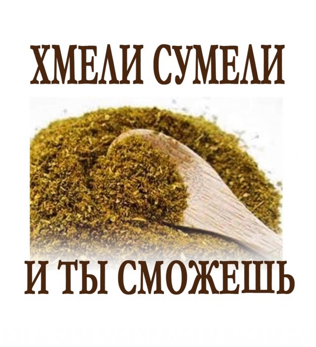 Весёлый полтишок 16.07
