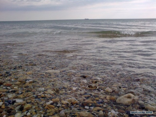 Черное море