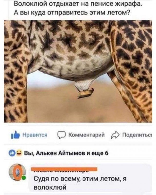 Так себе картинки 06.04.22