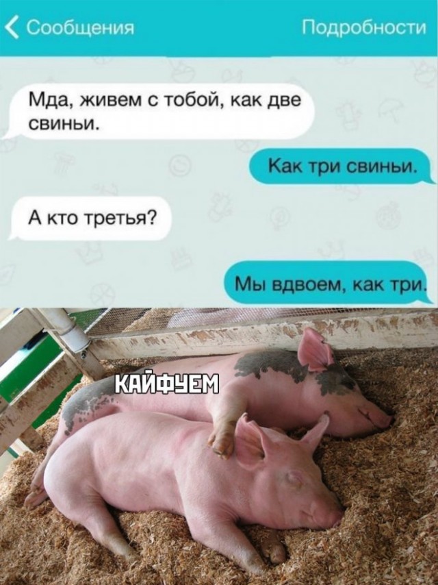 Картинки и мемы, всем отличных выходных