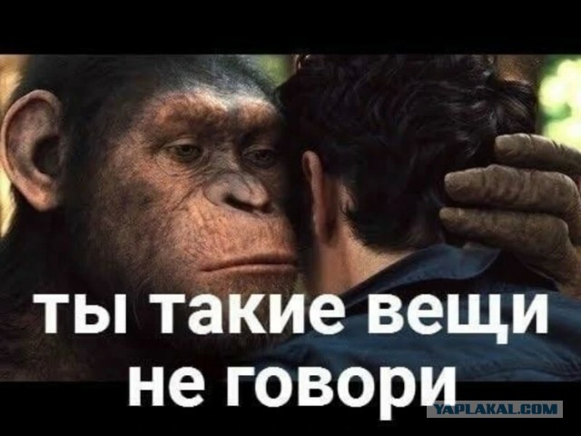 Обращение мобилизованных ДНР к Денису Пушилину