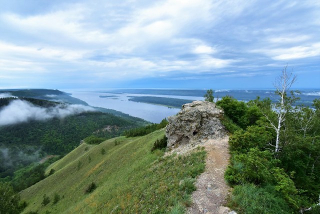 Кыргызстанские грибочки