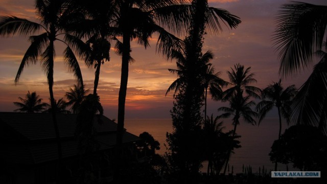 Такой разный остров Самуи