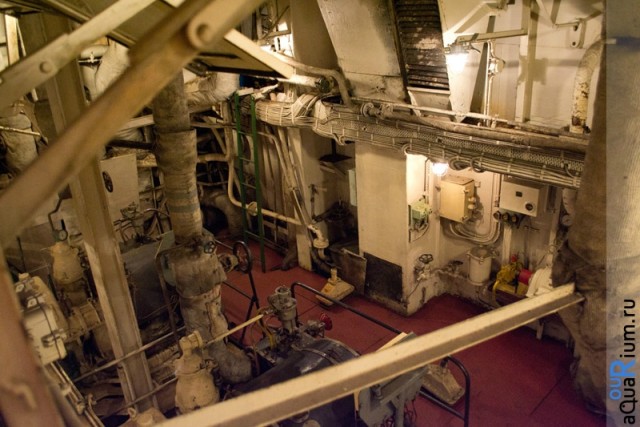 СПб глазами уставшего туриста...