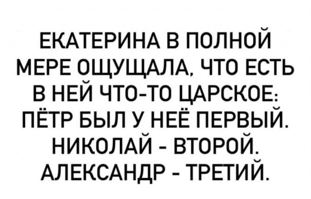 Весёлый полтишок 08.08.22