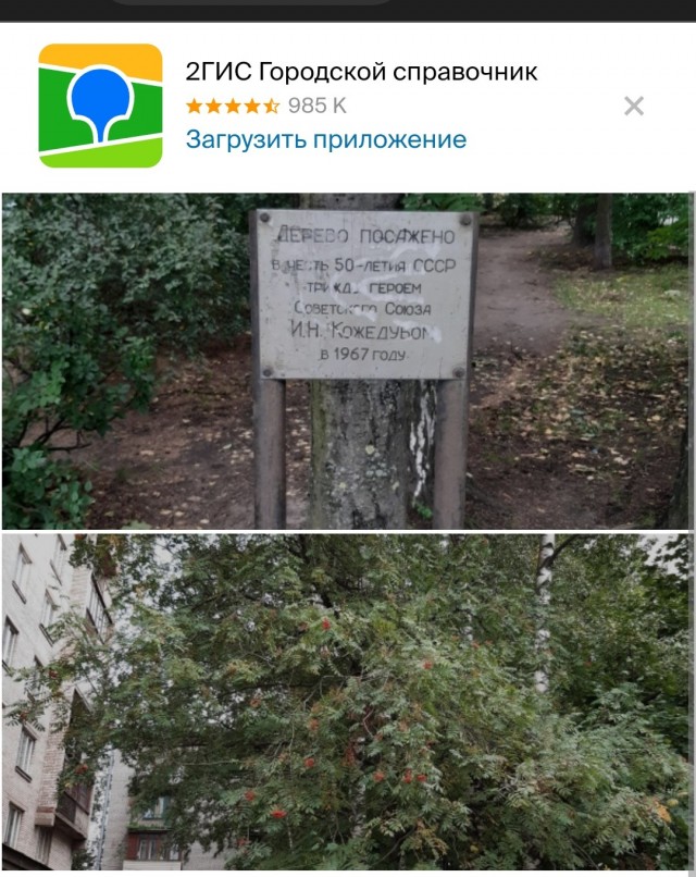 В Днепропетровске снесли памятники Горькому и Чкалову